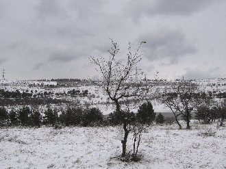 Snowy winter, Georgia